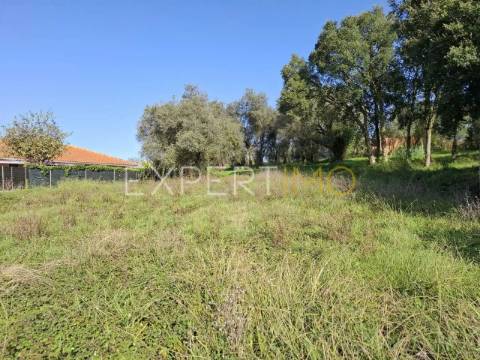 Terreno construção em Sangalhos com 2600 m2