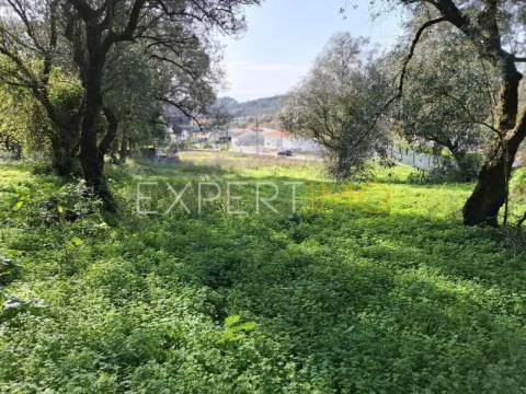 Terreno construção em Sangalhos com 2600 m2