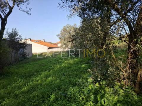 Terreno construção em Sangalhos com 2600 m2