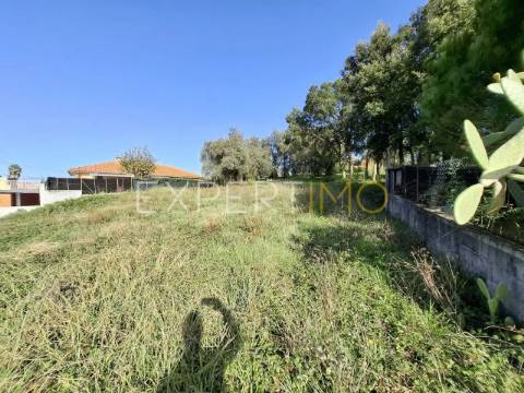 Terreno construção em Sangalhos com 2600 m2