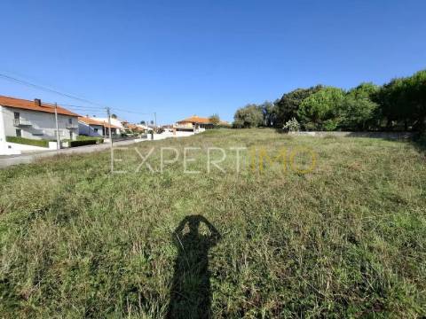 Terreno construção em Sangalhos com 2600 m2