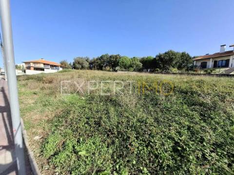 Terreno construção em Sangalhos com 2600 m2