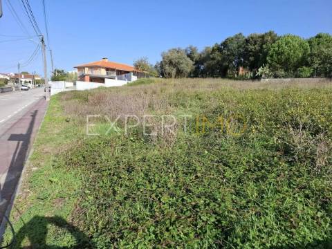 Terreno construção em Sangalhos com 2600 m2