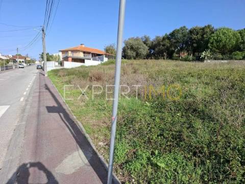 Terreno construção em Sangalhos com 2600 m2