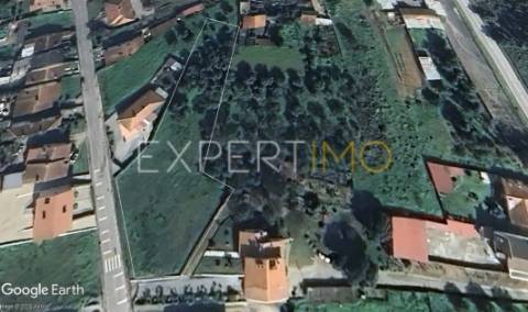 Terreno construção em Sangalhos com 2600 m2