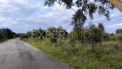 Terreno construção permitida praia do ribatejo a 3 minutos do rio Tejo 13 hectares