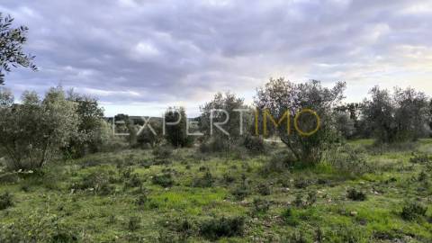 Terreno construção permitida praia do ribatejo a 3 minutos do rio Tejo 13 hectares