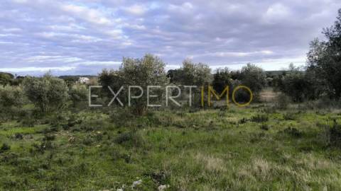 Terreno construção permitida praia do ribatejo a 3 minutos do rio Tejo 13 hectares