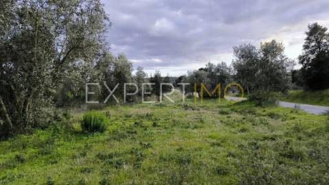 Terreno construção permitida praia do ribatejo a 3 minutos do rio Tejo 13 hectares