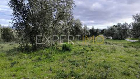 Terreno construção permitida praia do ribatejo a 3 minutos do rio Tejo 13 hectares