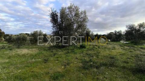 Terreno construção permitida praia do ribatejo a 3 minutos do rio Tejo 13 hectares