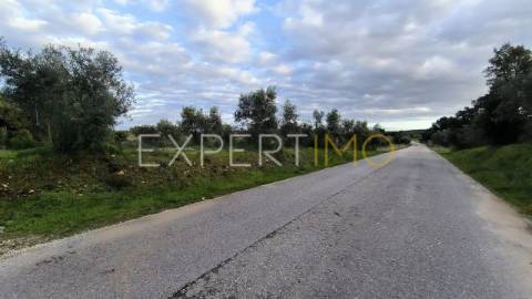 Terreno construção permitida praia do ribatejo a 3 minutos do rio Tejo 13 hectares