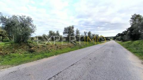 Terreno construção permitida praia do ribatejo a 3 minutos do rio Tejo 13 hectares
