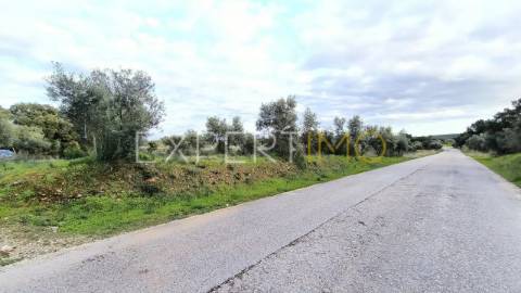 Terreno construção permitida praia do ribatejo a 3 minutos do rio Tejo 13 hectares