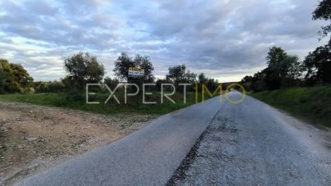 Terreno construção permitida praia do ribatejo a 3 minutos do rio Tejo 13 hectares