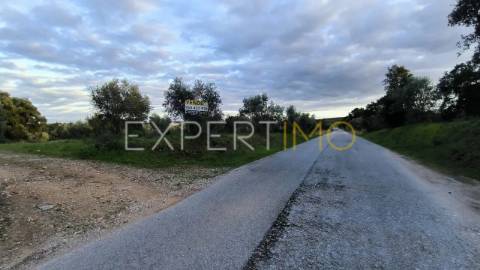 Terreno construção permitida praia do ribatejo a 3 minutos do rio Tejo 13 hectares