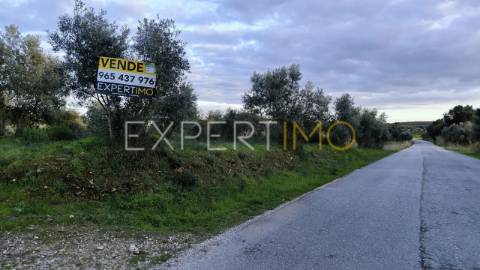 Terreno construção permitida praia do ribatejo a 3 minutos do rio Tejo 13 hectares