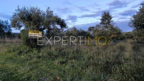 Terreno construção permitida praia do ribatejo a 3 minutos do rio Tejo 13 hectares
