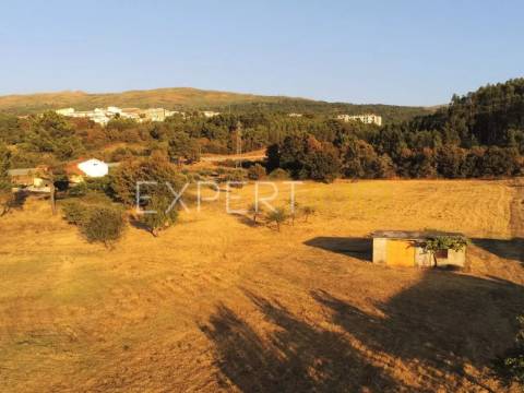Terreno situado em Quintela no Concelho de Seia na Serra da Estrela