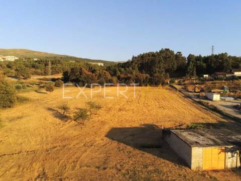 Terreno situado em Quintela no Concelho de Seia na Serra da Estrela