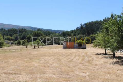 Terreno situado em Quintela no Concelho de Seia na Serra da Estrela