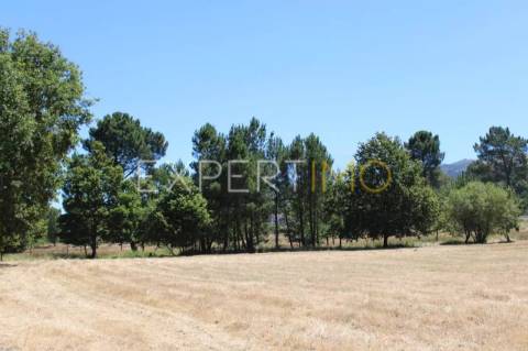 Terreno situado em Quintela no Concelho de Seia na Serra da Estrela