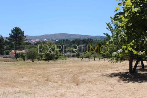Terreno situado em Quintela no Concelho de Seia na Serra da Estrela