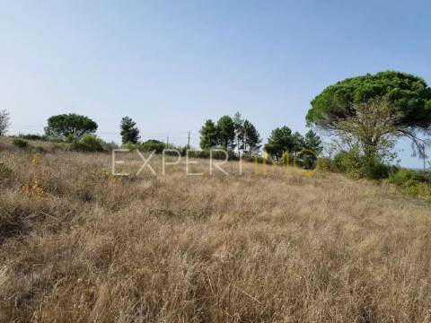 Terreno ao lado da EN 17 Gouveia-Seia