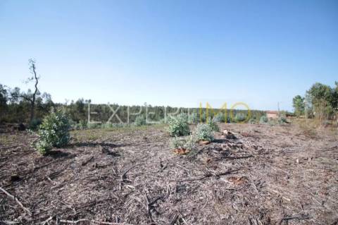 Terreno em Leiria com 75400 m2 para construção