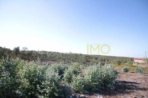 Terreno em Leiria com 75400 m2 para construção