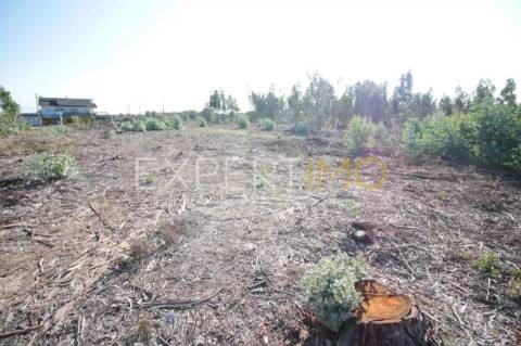 Terreno em Leiria com 75400 m2 para construção