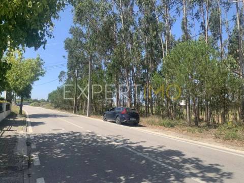 Terreno Industrial Leiria/Barosa