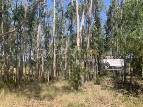 Terreno Industrial Leiria/Barosa