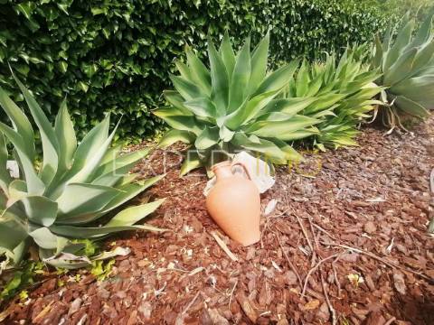 Casa tradicional com piscinas e vistas fantásticas