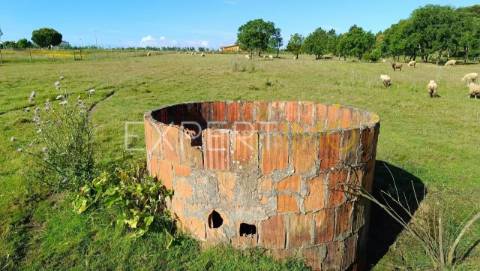 Terrenos rústicos em Carrapatal, Canha