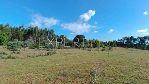 Terrenos rústicos em Carrapatal, Canha