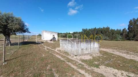 Terrenos rústicos em Carrapatal, Canha