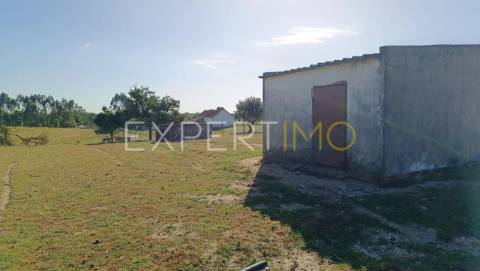 Terrenos rústicos em Carrapatal, Canha