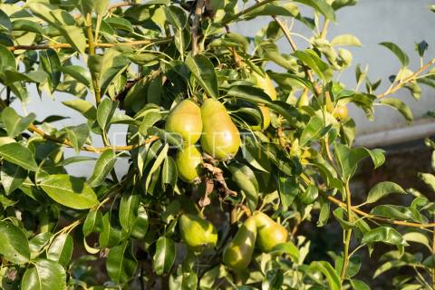 Casa de Aldeia Renovada com Potencial para Turismo de Habitação – Trás-os-Montes