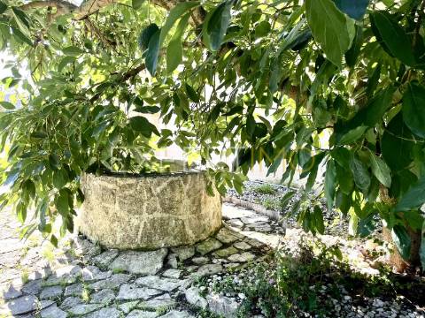 Moradia T4 com Piscina no Centro de Portugal, a 45 km das Praias