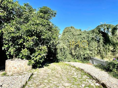 Moradia T4 com Piscina e Anexo Independente|Pombal