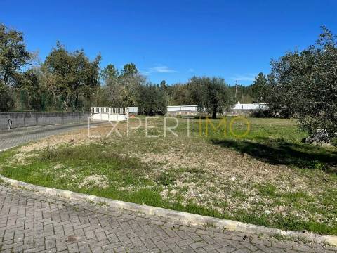 Moradia T4 com Piscina e Anexo Independente|Pombal