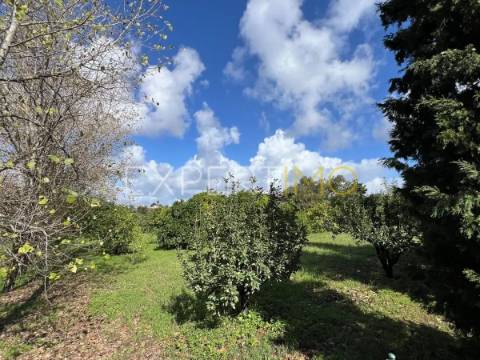 Quinta com moradia T3, anexos, cavalariças em 20000m2 de terreno, São Silvestre, Coimbra