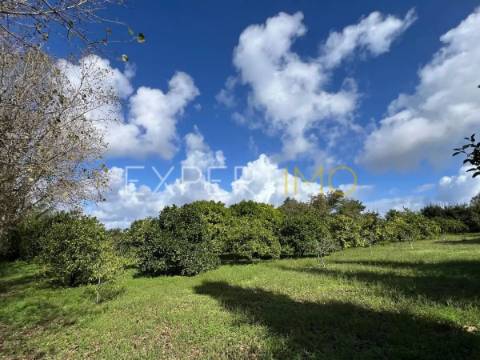 Quinta com moradia T3, anexos, cavalariças em 20000m2 de terreno, São Silvestre, Coimbra