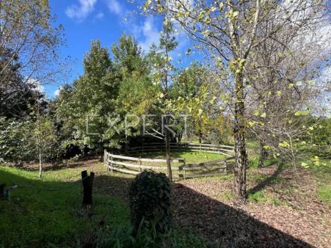 Quinta com moradia T3, anexos, cavalariças em 20000m2 de terreno, São Silvestre, Coimbra