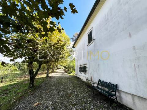Quinta com moradia T3, anexos, cavalariças em 20000m2 de terreno, São Silvestre, Coimbra