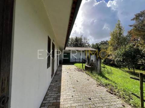 Quinta com moradia T3, anexos, cavalariças em 20000m2 de terreno, São Silvestre, Coimbra