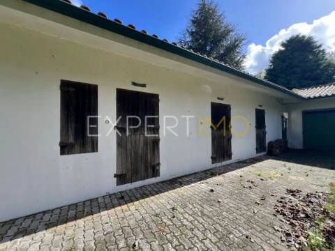 Quinta com moradia T3, anexos, cavalariças em 20000m2 de terreno, São Silvestre, Coimbra