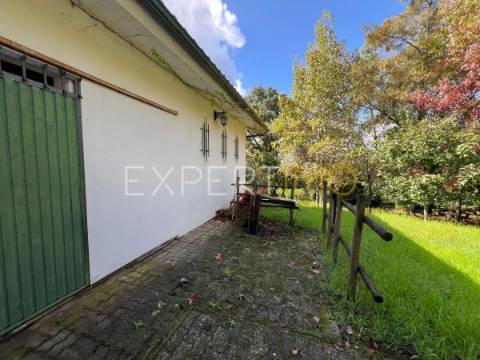 Quinta com moradia T3, anexos, cavalariças em 20000m2 de terreno, São Silvestre, Coimbra