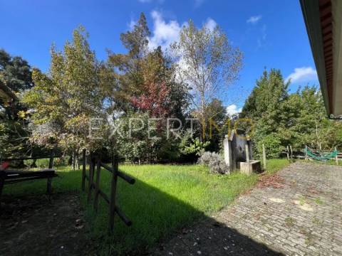 Quinta com moradia T3, anexos, cavalariças em 20000m2 de terreno, São Silvestre, Coimbra